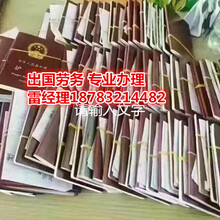 山东合众出入境服务 专业劳务服务的桥梁与保障